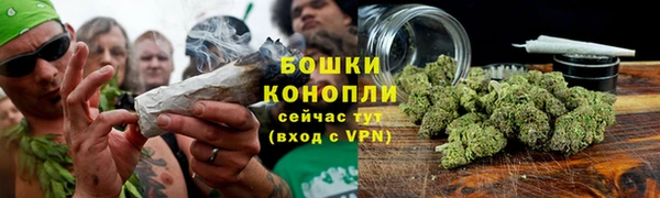 гидропоника Бугульма
